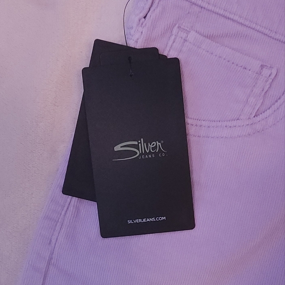 Silver Jeans Co. Highly Desirable High Rise Short Lavender Size 27/3 (wo… - Picture 11 of 16